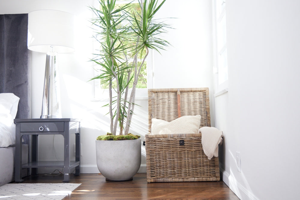 Wicker storage trunk used for blankets and linens in a bedroom.