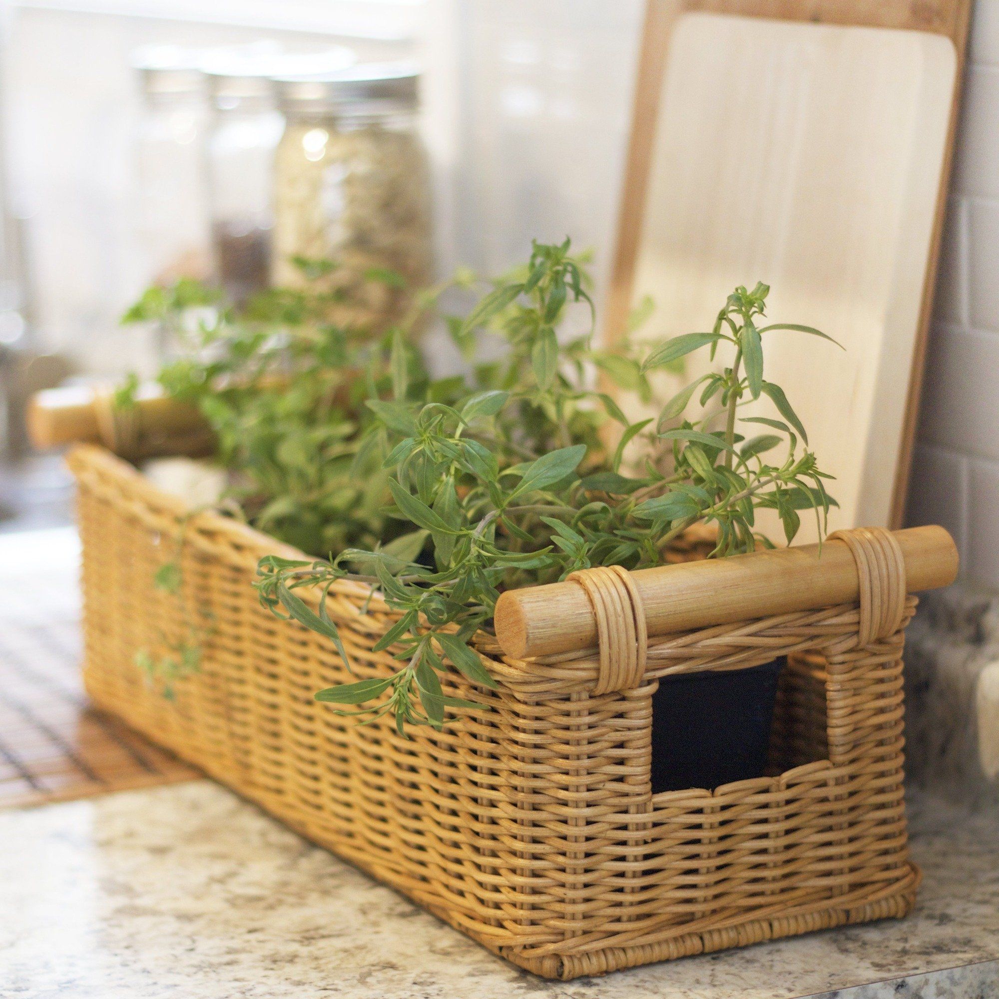 Long Narrow Pole Handle Wicker Storage Basket in Sandstone in kitchen with herbs | The Basket Lady